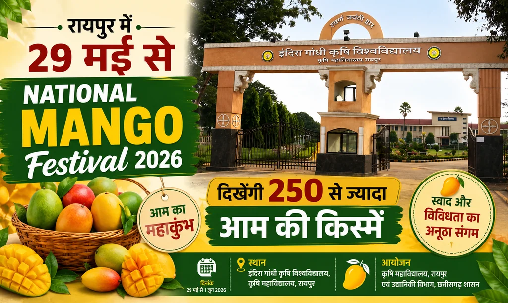रायपुर में 29 मई से National Mango Festival 2026, दिखेंगी 250 से ज्यादा आम की किस्में